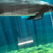 Photo submitted by John