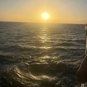 Photo submitted by Rich