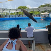 Photo submitted by L