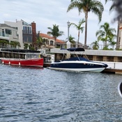 Photo submitted by Boss