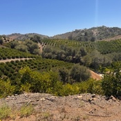 Photo submitted by Brian