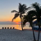 Photo submitted by Brianna