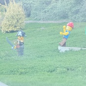 Photo submitted by Alba