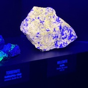 Photo submitted by Jason