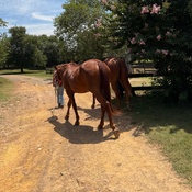 Photo submitted by rabia