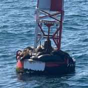 Photo submitted by Kim