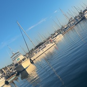 Photo submitted by Monica