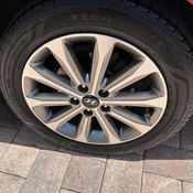 Photo submitted by Carlos