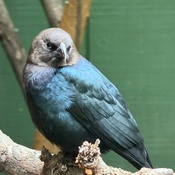 Photo submitted by Heather