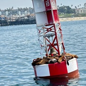 Photo submitted by jessica