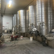 Photo submitted by Kelly