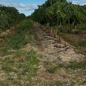 Photo submitted by Guest