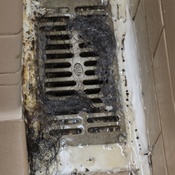 Photo submitted by L'Tanya