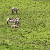 Photo submitted by Julie