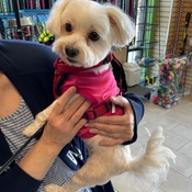 Photo submitted by Marilyn