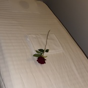 Photo submitted by Marquise