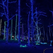 Photo submitted by terry