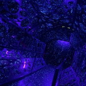 Photo submitted by Jasmine