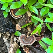 Photo submitted by Cathrine