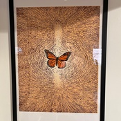 Photo submitted by Joshua