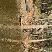 Photo submitted by Alejandro