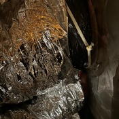 Photo submitted by Guest