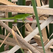 Photo submitted by Louise