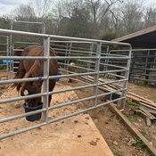 Photo submitted by Theressa