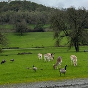 Photo submitted by Julie