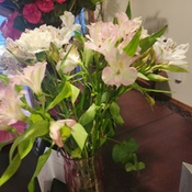 Photo submitted by Randi