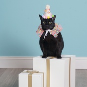 Photo submitted by Lexi