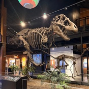 Photo submitted by amanda