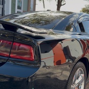 Photo submitted by Trey