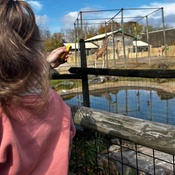 Photo submitted by Megan