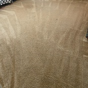 Photo submitted by Nicole