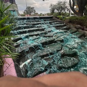 Photo submitted by Tia