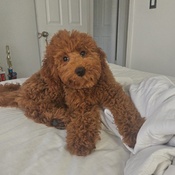 Photo submitted by Ionela