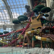 Photo submitted by Jasmine