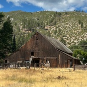 Photo submitted by Amy