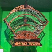 Photo submitted by Yanixi