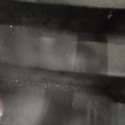 Photo submitted by Cathi