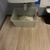 Photo submitted by Deborah