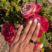 Photo submitted by Sahangi