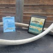 Photo submitted by Ashley