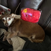 Photo submitted by Tammy