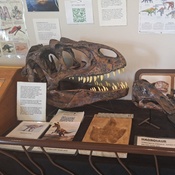 Photo submitted by Manda