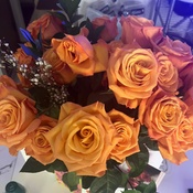 Photo submitted by Nicole