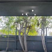 Photo submitted by Alma