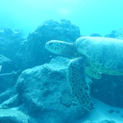 Photo submitted by Melissa