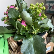 Photo submitted by luana